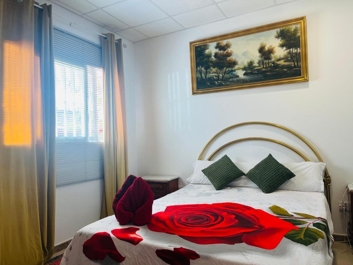 Hotel Art House Alicante Zewnętrze zdjęcie
